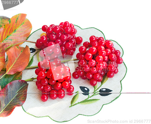 Image of Clusters of berries of a guelder-rose and autumn leaves on a whi
