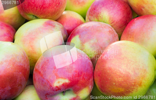 Image of Large ripe apples , photographed close up.