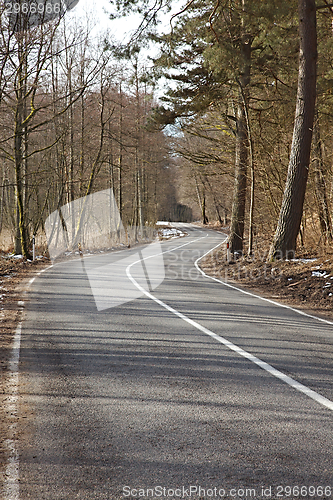 Image of Autumn road