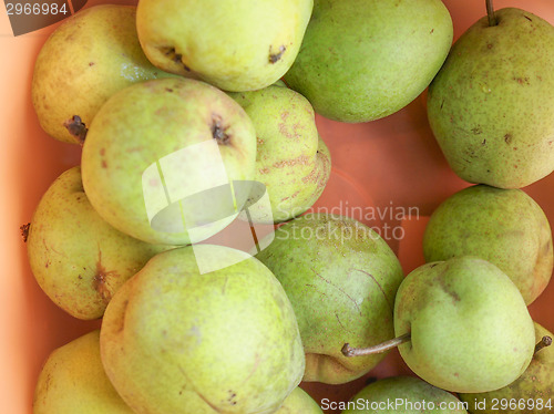 Image of Pear fruit