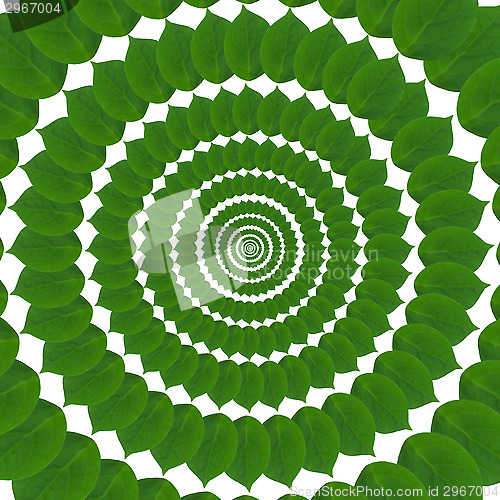 Image of Green circle from leaves