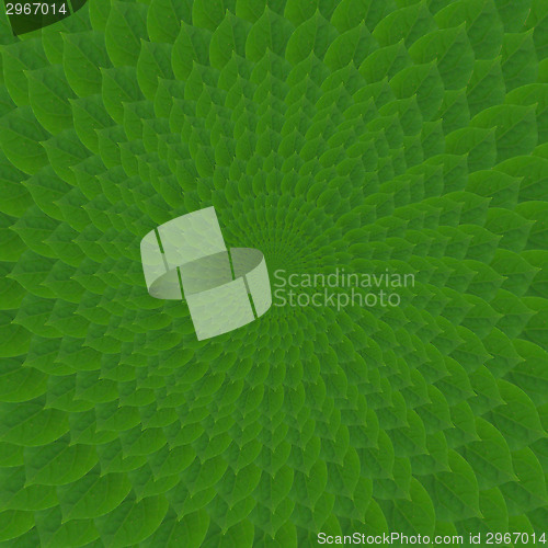 Image of Green circles from leaves