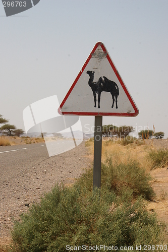 Image of Dromedary road sign