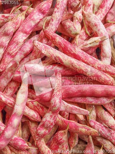 Image of Cranberry beans