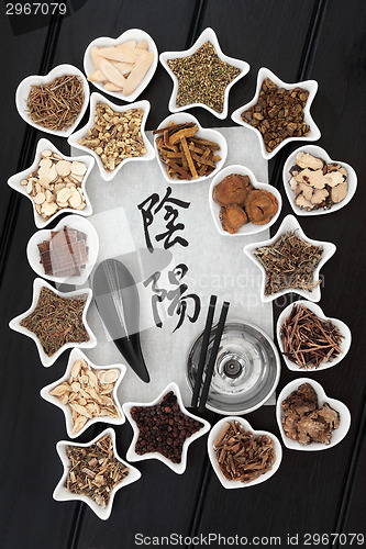 Image of Chinese Alternative Medicine