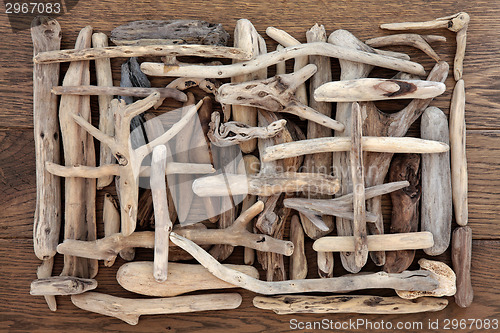 Image of Driftwood Beauty