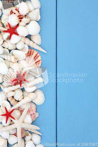 Image of Beach Shell Beauty