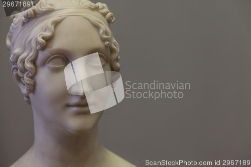 Image of Classical beauty