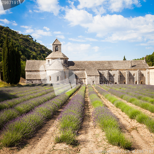Image of Lavander field