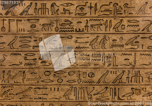 Image of Hieroglyph