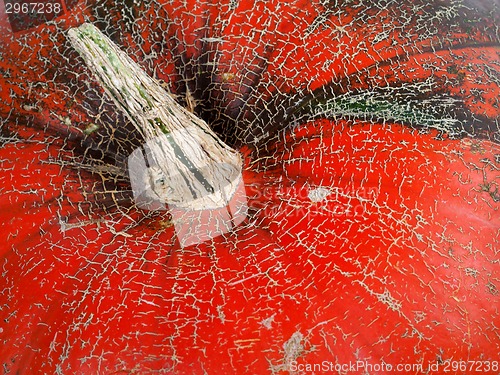 Image of Top of red ripe pumpkin