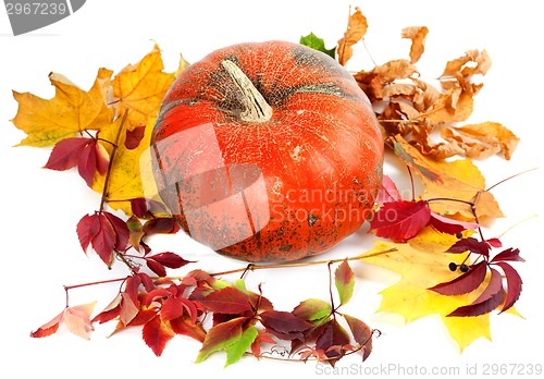 Image of Red ripe pumpkin and autumn leaves on white background