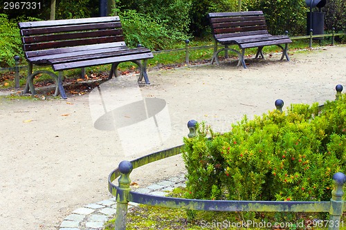 Image of Footpath in park