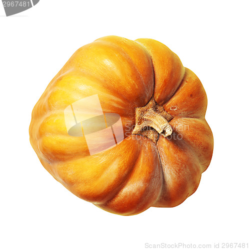 Image of pumpkin isolated on white