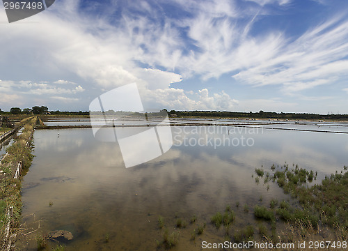 Image of Salt fields Nin