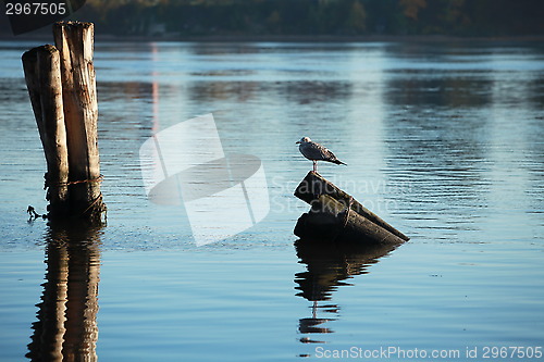 Image of morning river