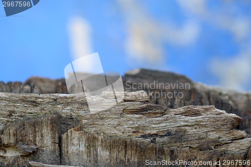 Image of old wooden planks with peeling paint