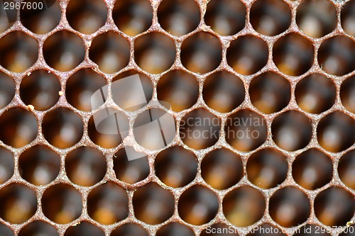 Image of honeycomb background