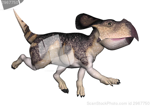 Image of Dinosaur Protoceratops