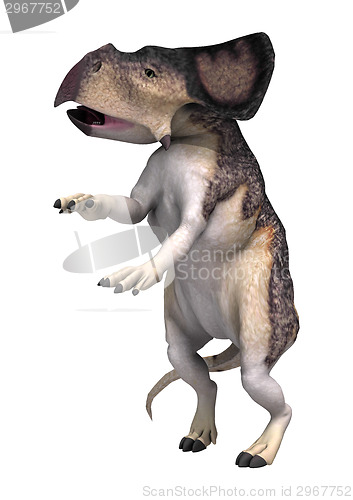 Image of Dinosaur Protoceratops