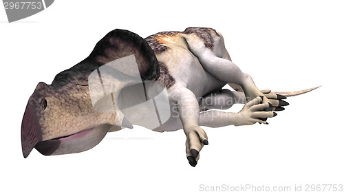 Image of Dinosaur Protoceratops