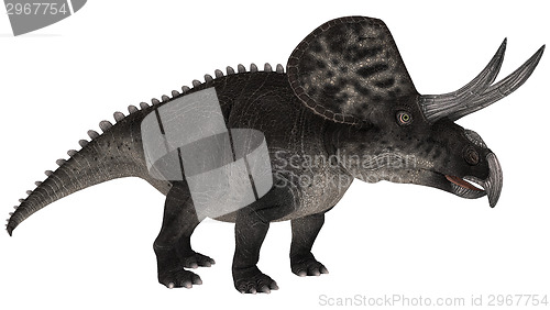 Image of Dinosaur Zuniceratops