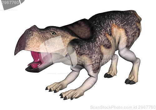 Image of Dinosaur Protoceratops