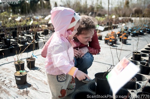 Image of Family in saplings shop