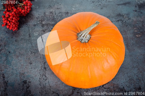 Image of Upper view on the pumpkin