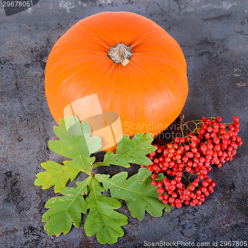 Image of Square autumn composition