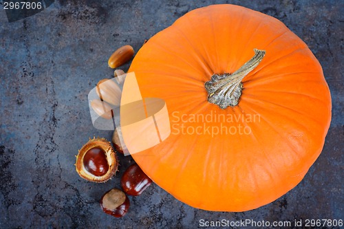 Image of Top view in the pumpkin