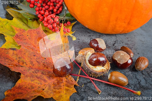 Image of Autumn maple leaves with chestnuts and pumpkin