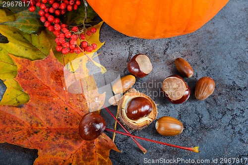 Image of Autumn maple leaves with pumpkin and chestnuts