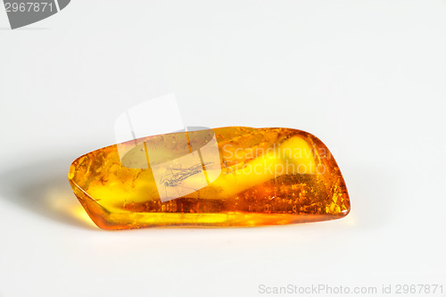 Image of Amber with embedded insect