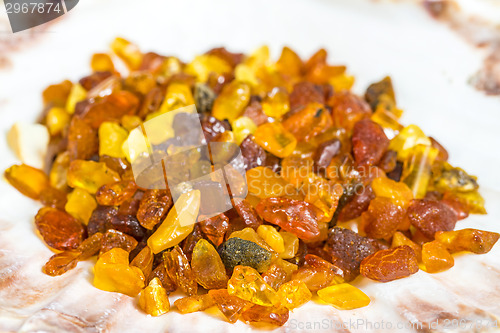 Image of Amber