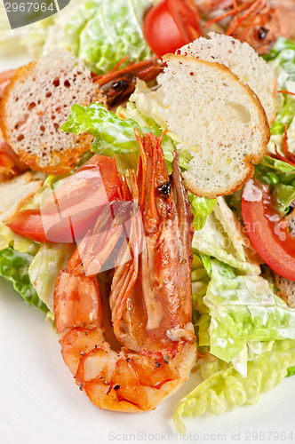 Image of Tasty shrimp salad