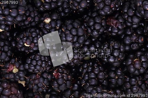 Image of blackberries background