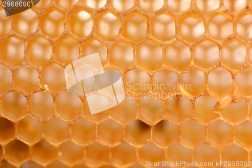 Image of honeycomb background