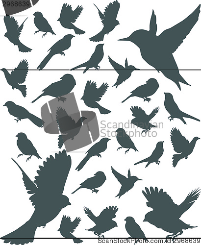 Image of winter sale vector