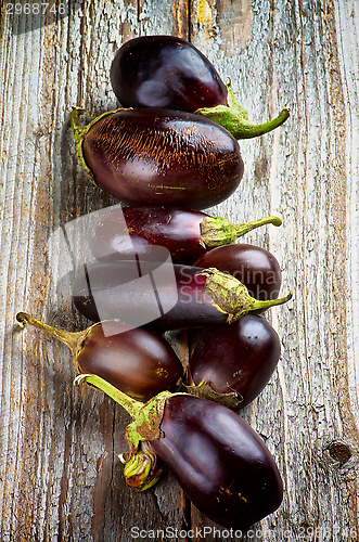 Image of Eggplants