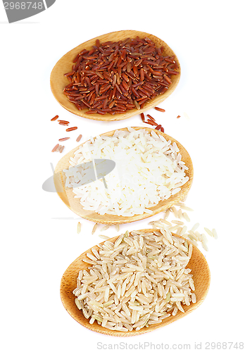 Image of Various Rice