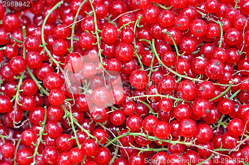 Image of Ripe red currant close-up as background