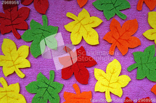 Image of Yellow, red, orange and green Maple leaves out of felt on fabric