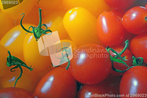 Image of Red and yellow tomatoes "cherry" as background