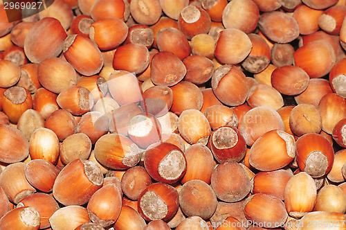 Image of Hazelnuts close-up as background