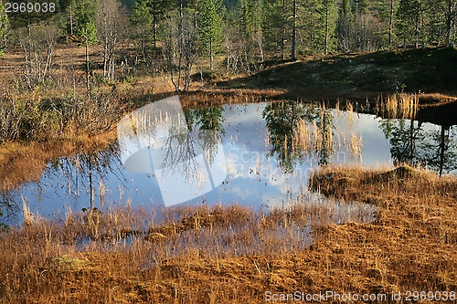 Image of Reflective tarn