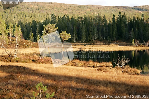 Image of Mountain tarn