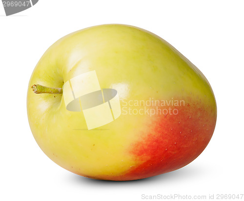 Image of Red And Yellow Apple