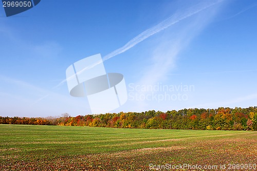 Image of Picturesque autumn rural landscape