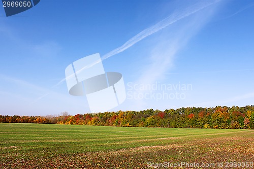 Image of Picturesque autumn rural landscape